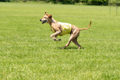 20240526-MemDayWknd-336