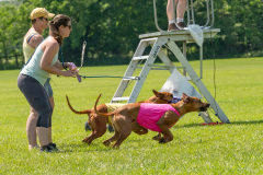 20240526-untitled-494