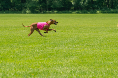 20240526-untitled-499