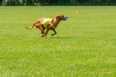 20240526-untitled-504