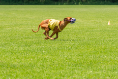 20240526-untitled-512