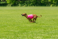 20240526-untitled-519