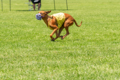 20240526-untitled-529