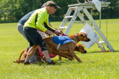 20240526-untitled-539