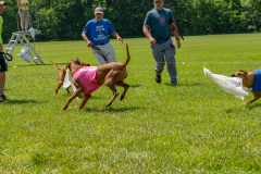 20240526-untitled-560