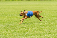 20240526-untitled-564