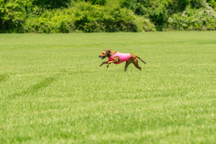 20240526-untitled-576