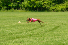 20240526-untitled-577