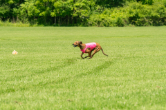 20240526-untitled-583