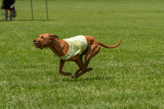 20240526-untitled-589