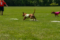 20240526-untitled-591