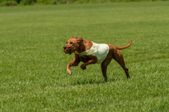 20240526-untitled-595