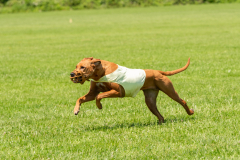 20240526-untitled-596