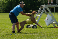 20240526-untitled-608