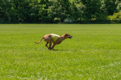 20240526-untitled-610