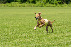 20240526-untitled-632