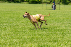 20240526-untitled-634