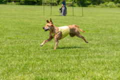 20240526-untitled-636