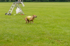 20240526-untitled-41