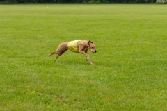 20240526-untitled-45