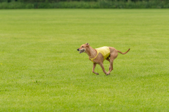 20240526-untitled-61