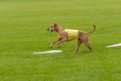 20240526-untitled-62