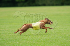 Ridgeback BOB