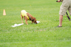 20260912-26-9-CBARRC-AKC-LC-5