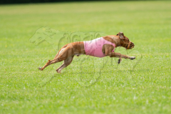 Ridgeback Runoff