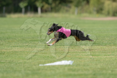 Saluki Finals