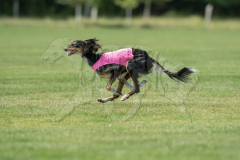 20260919-GVFRRC-AKC-LC-318