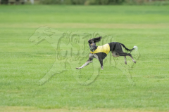 20260920-GVFRRC-AKC-LC-51
