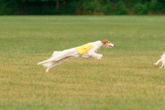 24UCBSCDeansBDayBash488