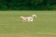 24UCBSCDeansBDayBash492