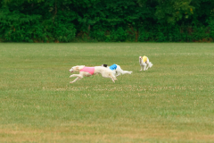 24UCBSCDeansBDayBash493