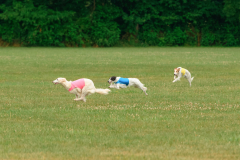 24UCBSCDeansBDayBash494