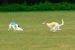 24UCBSCDeansBDayBash506