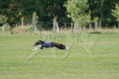 20260919-GVFRRC-AKC-LC-275