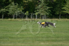 20260919-GVFRRC-AKC-LC-276