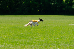 20240526-MemDayWknd-534