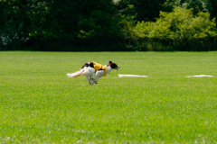 20240526-MemDayWknd-535