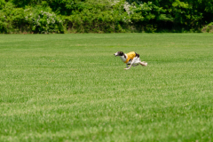 20240526-MemDayWknd-537