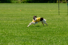 20240526-MemDayWknd-542