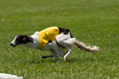 20240526-MemDayWknd-544