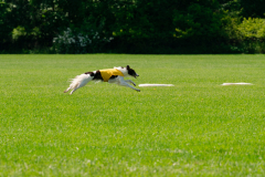 20240526-MemDayWknd-570