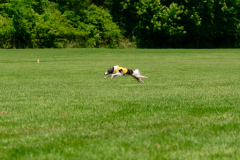 20240526-MemDayWknd-572