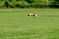 20240526-MemDayWknd-573