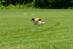 20240526-MemDayWknd-575