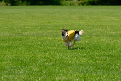 20240526-MemDayWknd-578