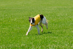 20240526-MemDayWknd-579